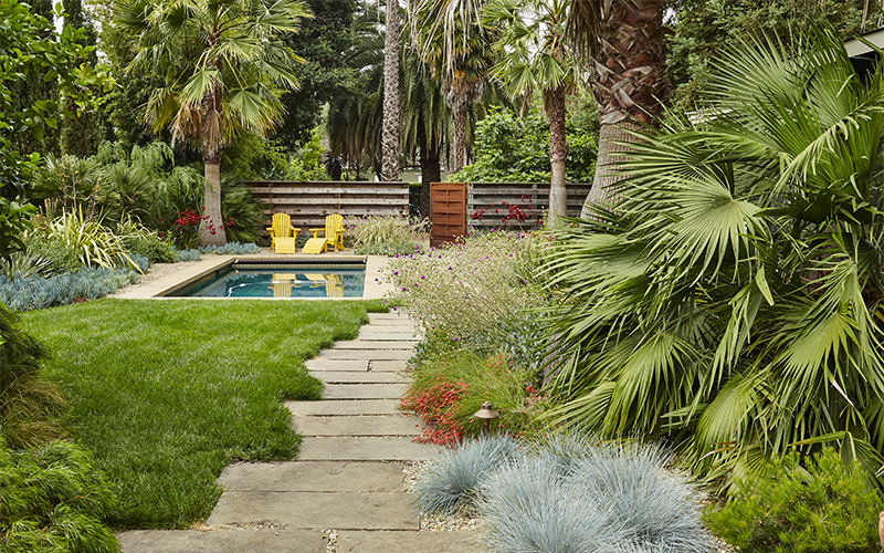 pathway leading to pool with palms, grasses, and perennials