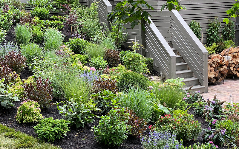 colorful tapestry of plants next to a deck stairway