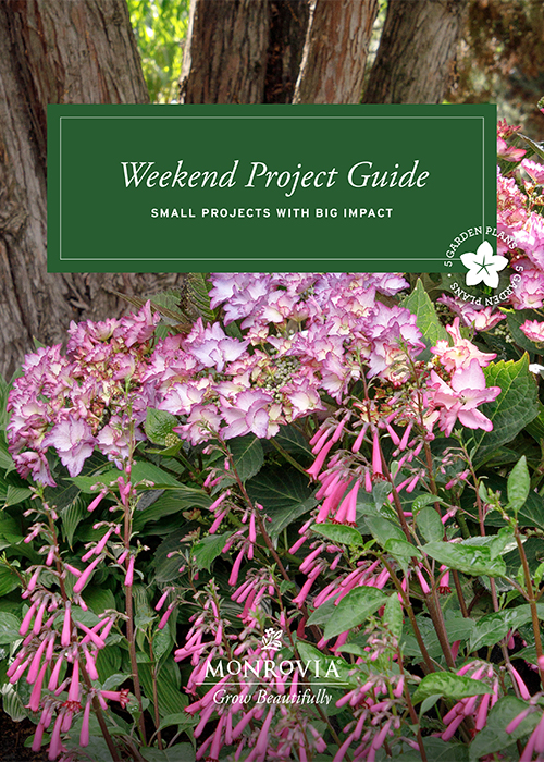 weekend projects 2023 guide cover