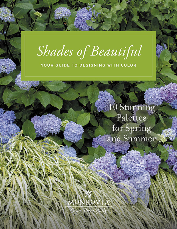 shades of beautiful 2022 guide cover