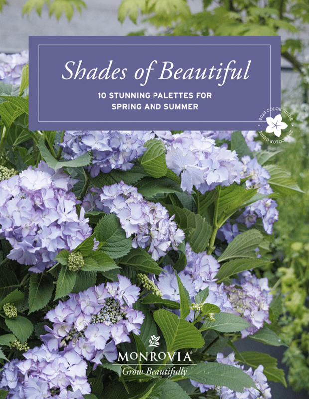 shades of beautiful guide cover