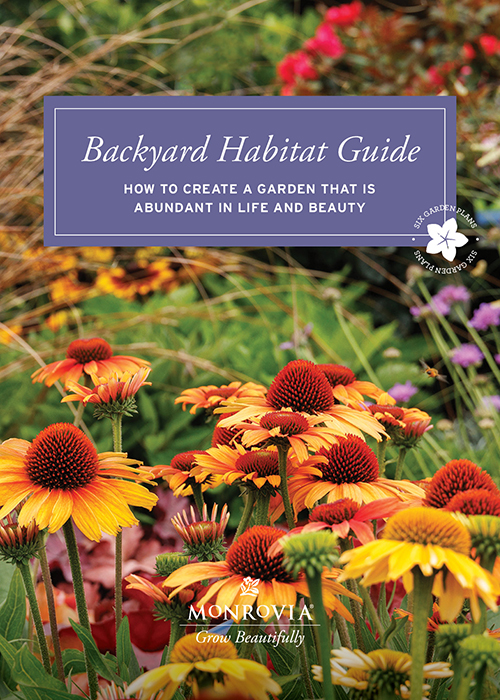 2024 backyard habitat guide cover