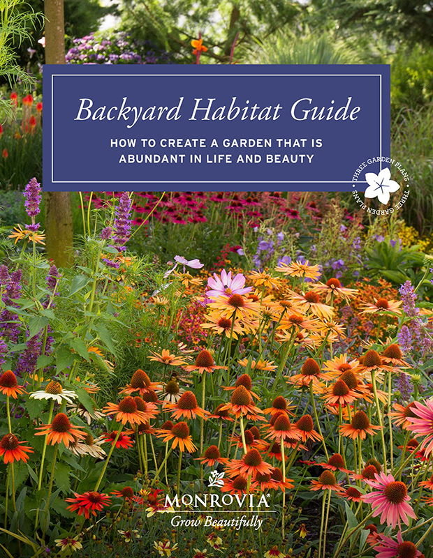 2024 backyard habitat guide cover