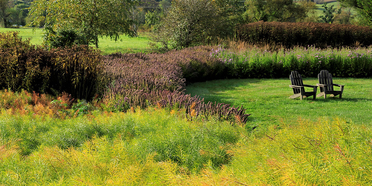 Pell's Stylized Meadow meets autumn color