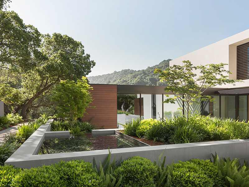 courtyard with trees and pool