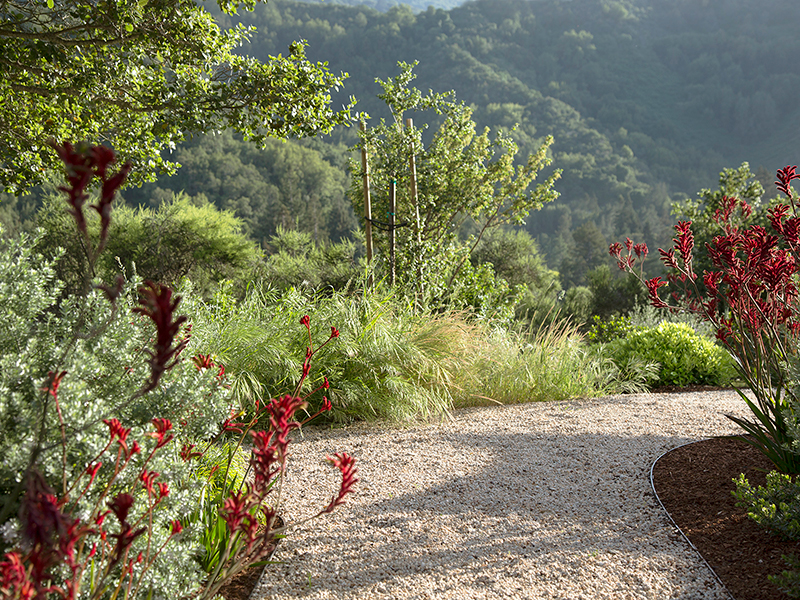 gravel pathway lines with beautiful plants