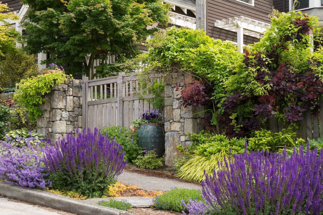 Drought Tolerant Landscape Design: Tips and Tricks for a Thriving Garden