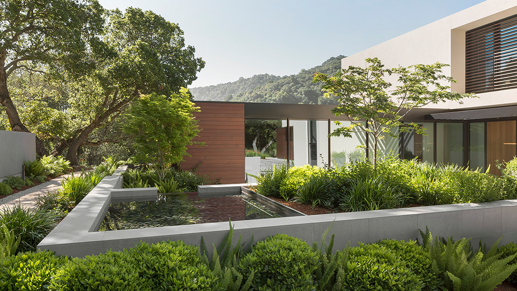 slot house courtyard with pool surrounded by plants