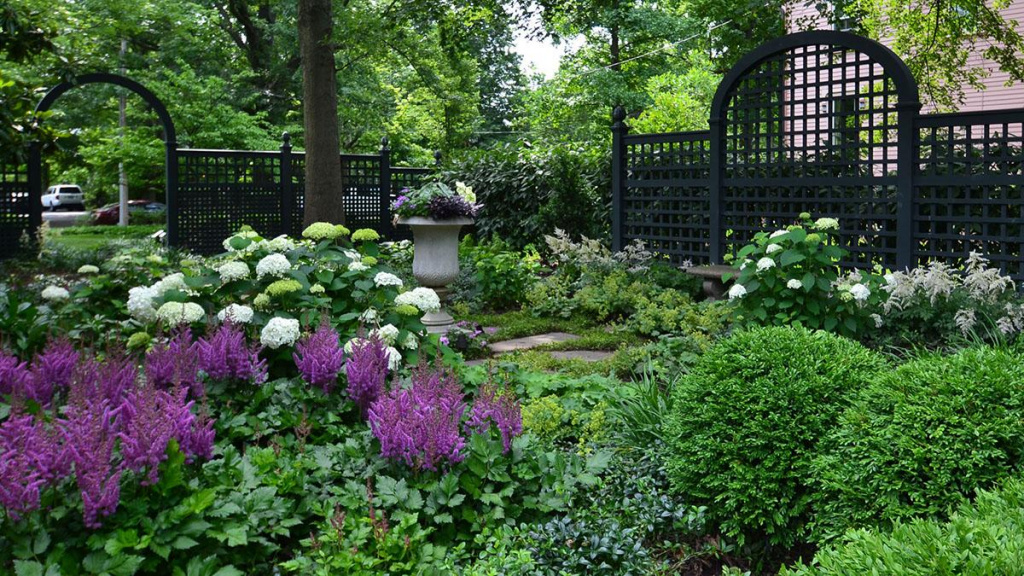 Climbing the walls (and fences, too) with these Vining Plants