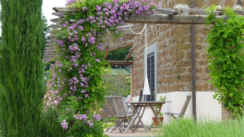 Wooden patio set with Rosa ‘Veilchenblau’ climbing roses and wisteria, surrounded by tall evergreens and beds of lavender.