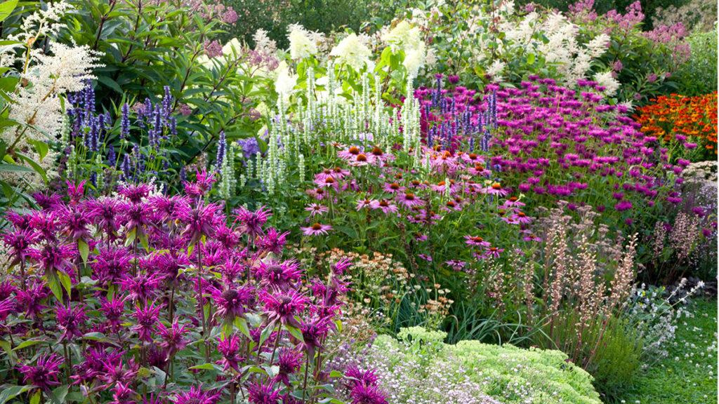 Ring the Dinner Bell: Grow a Pollinator Border | Be Inspired