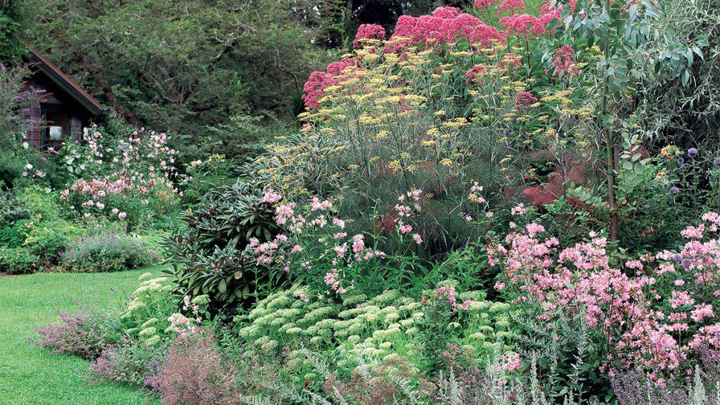 Spring backyard landscape with a wooden cabin and wide variety of pink and yellow flowers. 