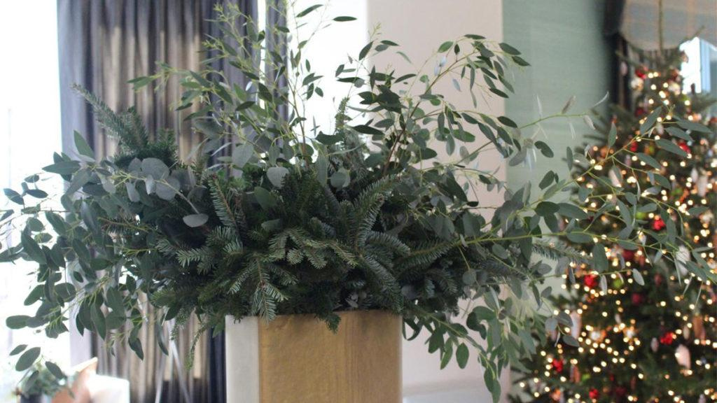 Evergreen clippings in a container as a table centerpiece next to a lit Christmas Tree.