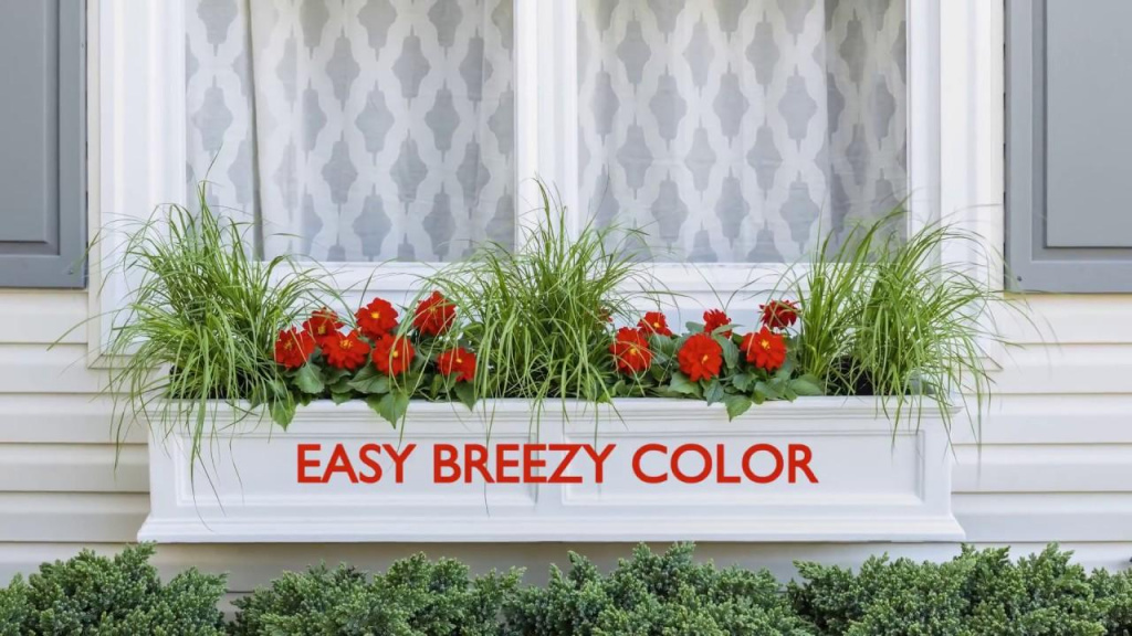 White window box with dwarf grasses and colorful annuals and text that reads, "Easy Breezy Color."