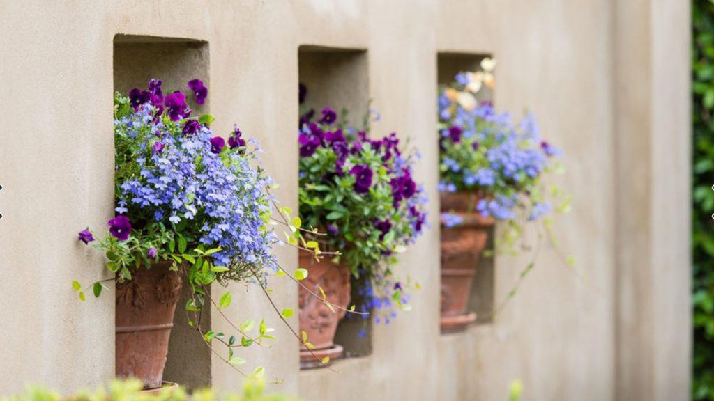 Three potted plants, full of purple and violet flowers, sitting inside three separate sections of a wall. 