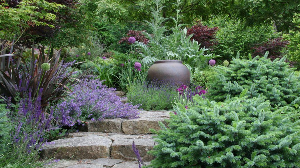 Garden landscape with an urn, basalt pathways, ornamental grasses, shrubs, and flowers like the Millenium Ornamental Onion.