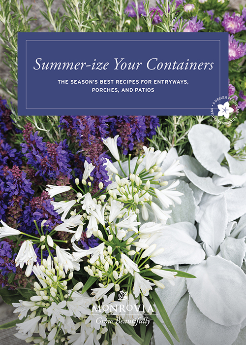 summer-ize your containers guide cover