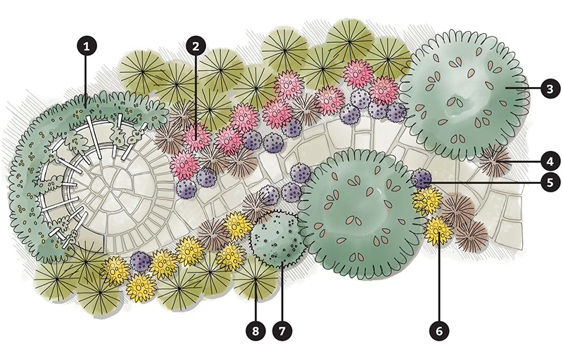 landscape plan illustration with curving path